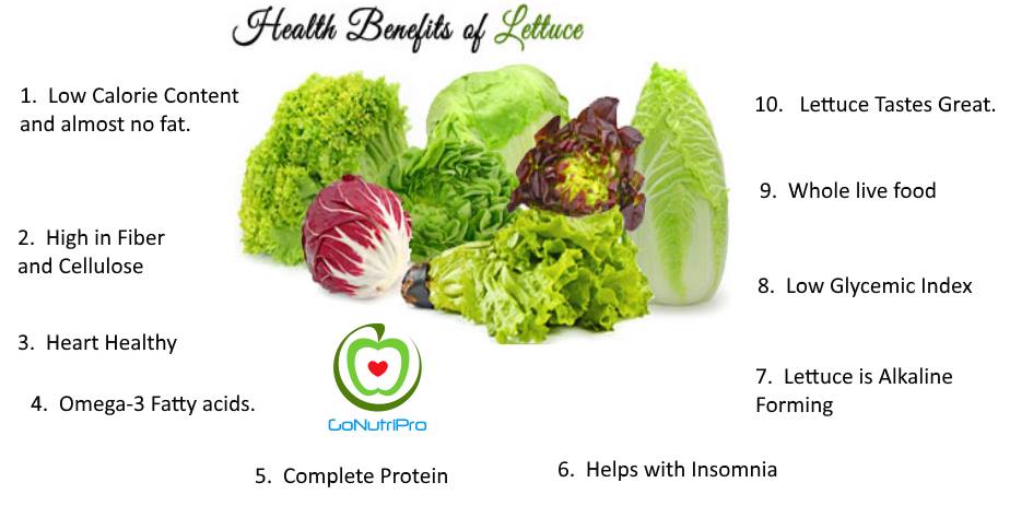 Health Benefits of Lettuce