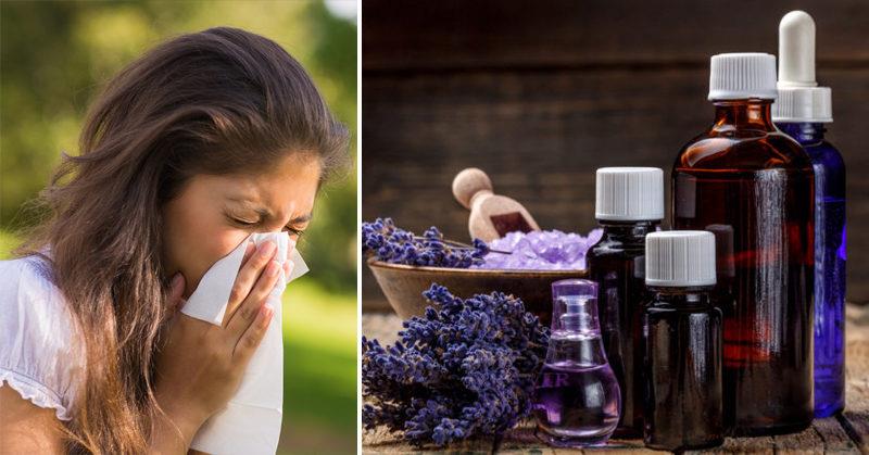 Top 5 Essential Oils That Can Soothe Allergies