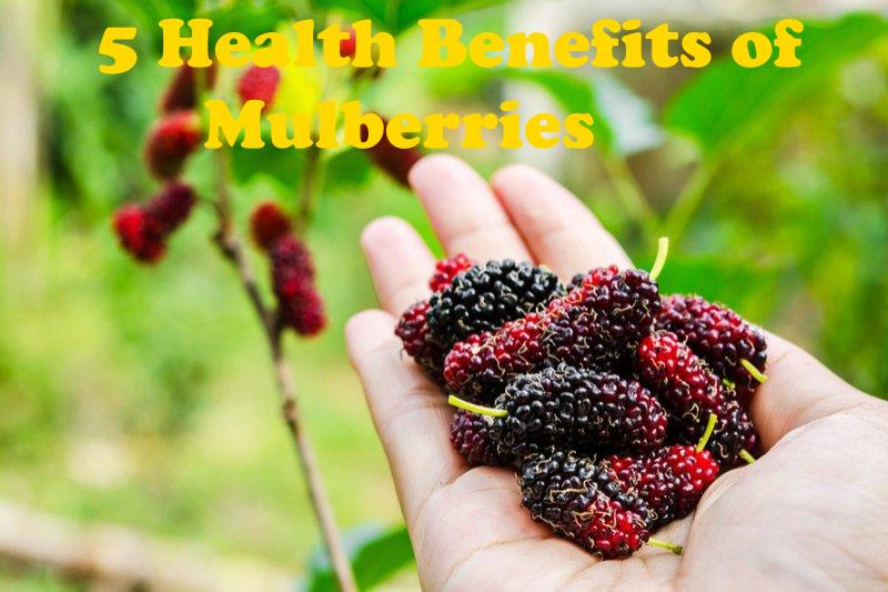 health benefits of mulberries