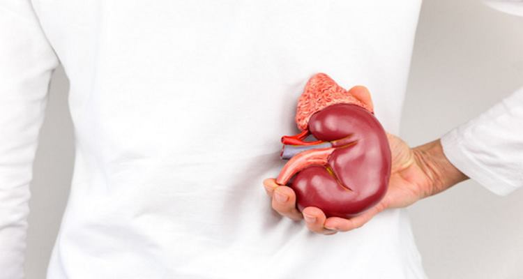 Kidney Is In Danger signs kidney danger