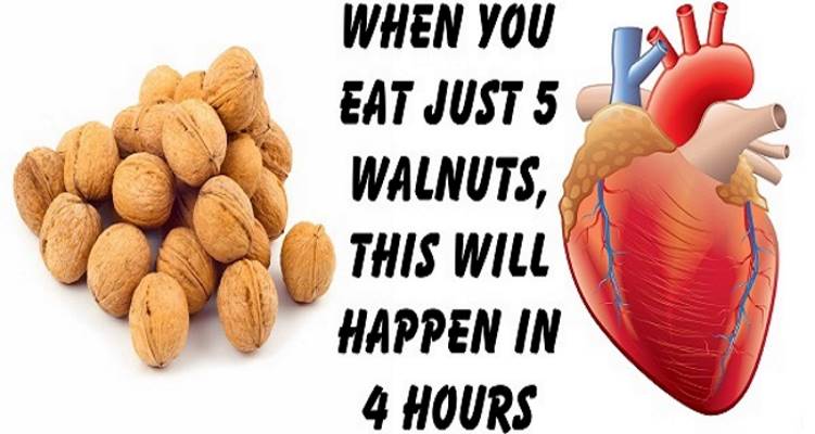 Eat Just 5 Walnuts