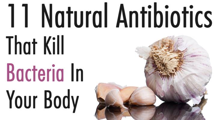 Natural Antibiotics That Kill Bacteria