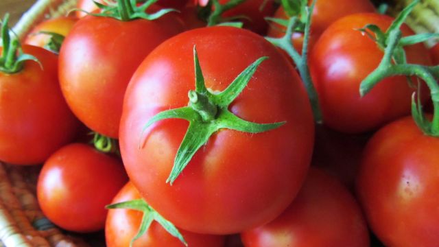 nutritional facts about tomatoes