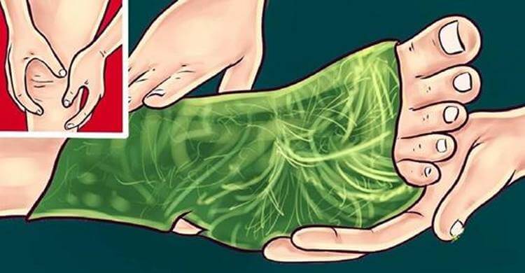 relieve joint pain Wrap Your Leg With Cabbage Overnight and Say Goodbye To Your Joint Pain