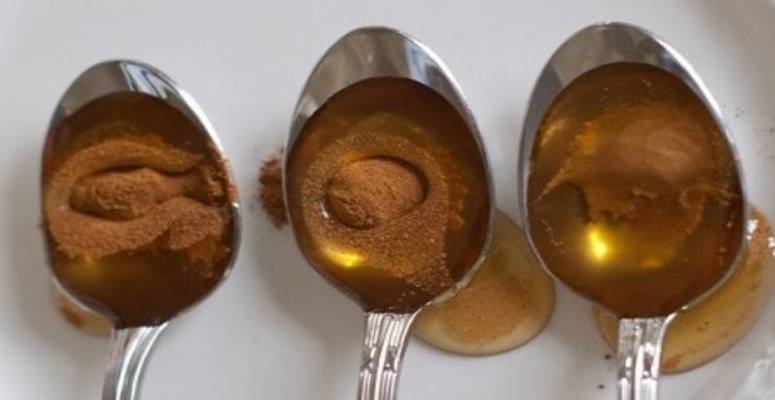 Honey and Cinnamon: A Powerful Remedy That Even Doctors Can Not Explain