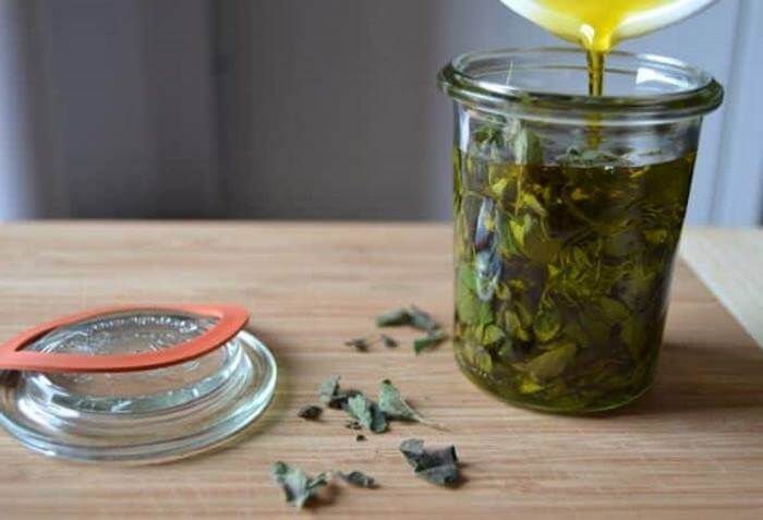 Oregano Oil Also Knows As the ‘Ultimate Natural Antibiotic’ is Effective in Treating All Pains, Colds And Infections